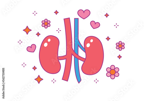 National Kidney Month. Kidneys awareness. Health medically illustration. Human Kidney