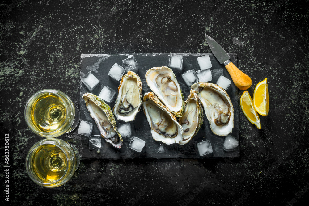 Fresh oysters with ice cubes and white wine. Fresh oysters with ice cubes and white wine.