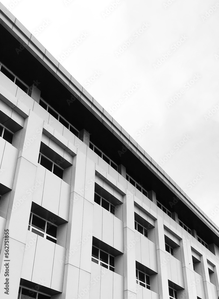 windows of a school building in grayscale windows of a school building in grayscale