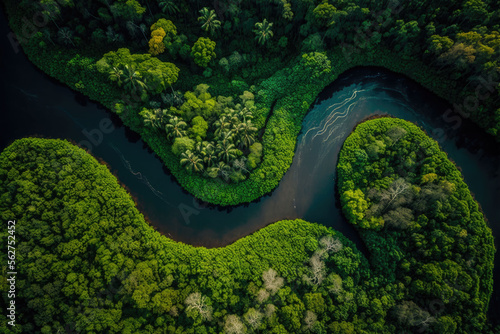 a river that flows through the middle of the rainforest. many green tropical trees. drone shot. Generative AI