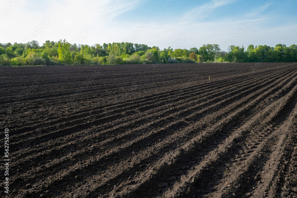 A field of black soil. Ploughed field in spring. Agricultural background. Arable land.