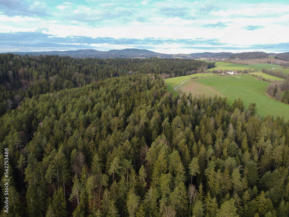 aerial photo of the forest in bavaria with dense needle trees and clearings as a green