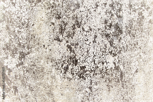 Black cracks background. Scratched lines texture. Grunge concrete wall pattern for graphic design. Peel paint crack. Dry paint overlay. Gray plaster wall with white paint. Stucco wall structure.