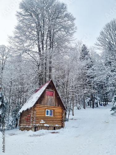 a wooden house in a snow-covered forest. the concept of a secluded holiday far from the city. the beauty of winter nature. © Maria