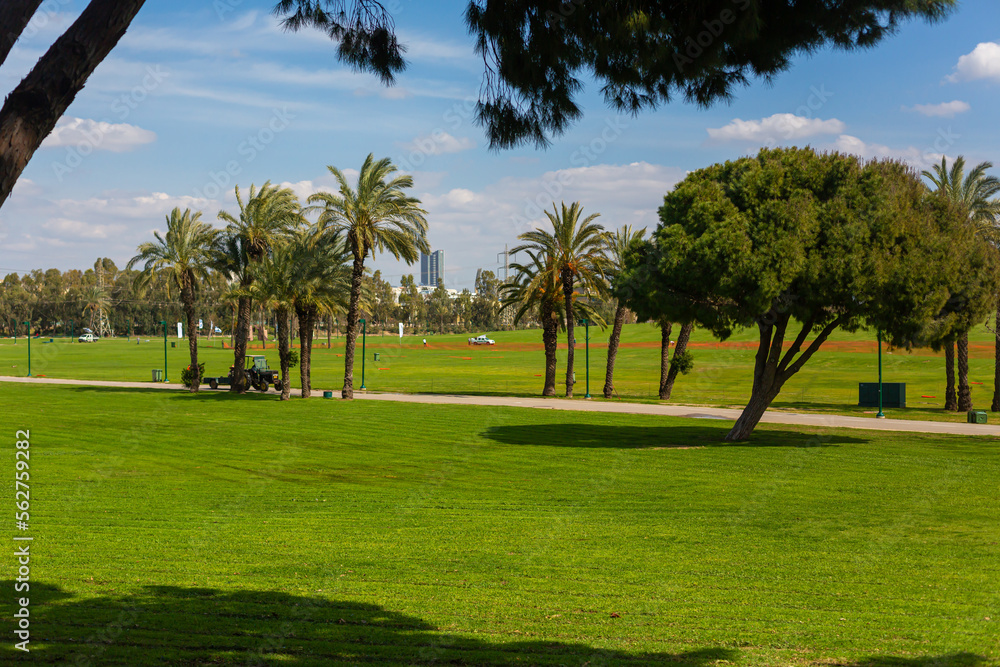 Green lawns of the city recreation park