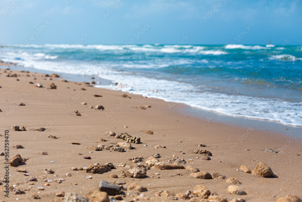 Shells and stones on the sandy seashore. A long-awaited vacation at sea
