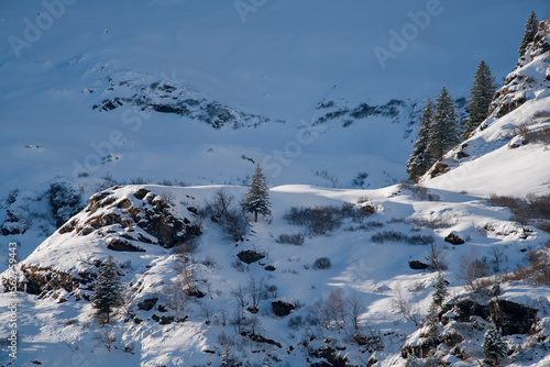 chamois area in the hohe tauern national park in austria at a sunny winter day with fresh snow