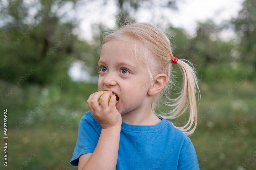 Little blond girl in blue t-shirt bite green apple . Child walks in park or garden. Close-up portrait of little girl. Little blond girl in blue t-shirt bite green apple . Child walks in park or garden. Close-up portrait of little girl.