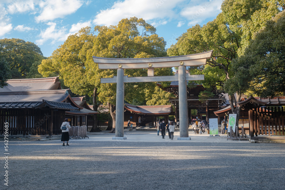 東京 明治神宮 南神門と三の鳥居