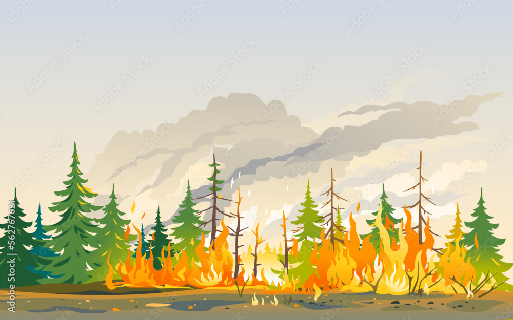 Ταπετσαρία Burning forest spruces in fire flames, nature disaster concept illustration back