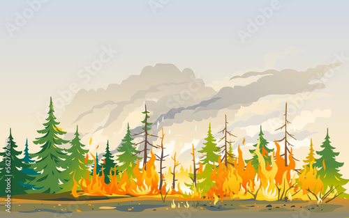 Burning forest spruces in fire flames, nature disaster concept illustration background, poster danger, careful with fires in the woods