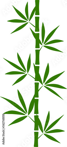 Green bamboo