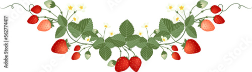 Strawberries Frame  
