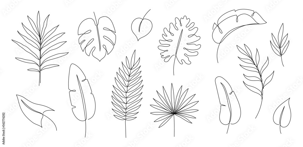 Outline tropic palm leaf set. One continuous line art tropic tree leaves. Editable stroke monstera, jungle foliage floral element. Isolated vector illustration Outline tropic palm leaf set. One continuous line art tropic tree leaves. Editable stroke monstera, jungle foliage floral element. Isolated vector illustration
