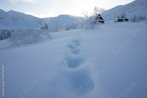 Fototapeta Naklejka Na Ścianę i Meble -  Winter landscape in the Tatra Mountains. Gasienicowa Valley.