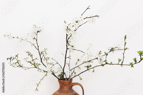 Blooming cherry branches against white wall. Spring flowers in vintage vase. Simple countryside living  home rustic decor. Space for text. Hello spring