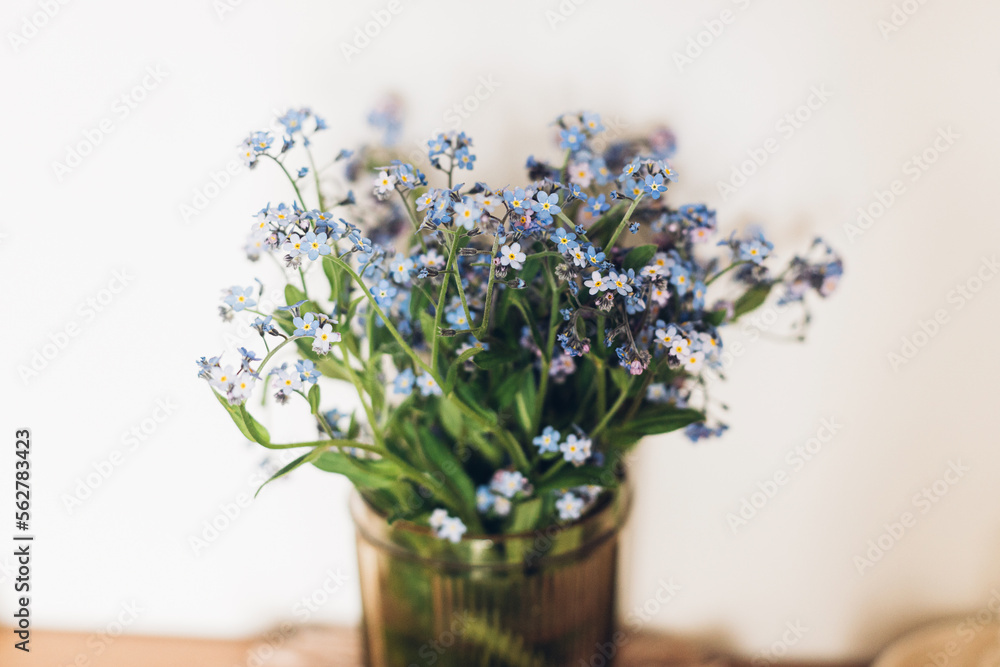 Beautiful blue spring little flowers on rustic background in room. Delicate myosotis petals, forget me not. Simple countryside living, home decor