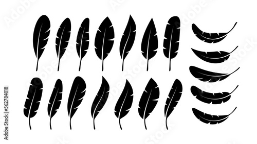 Bird Feather. Quill feather silhouette icon. Vector stock illustration