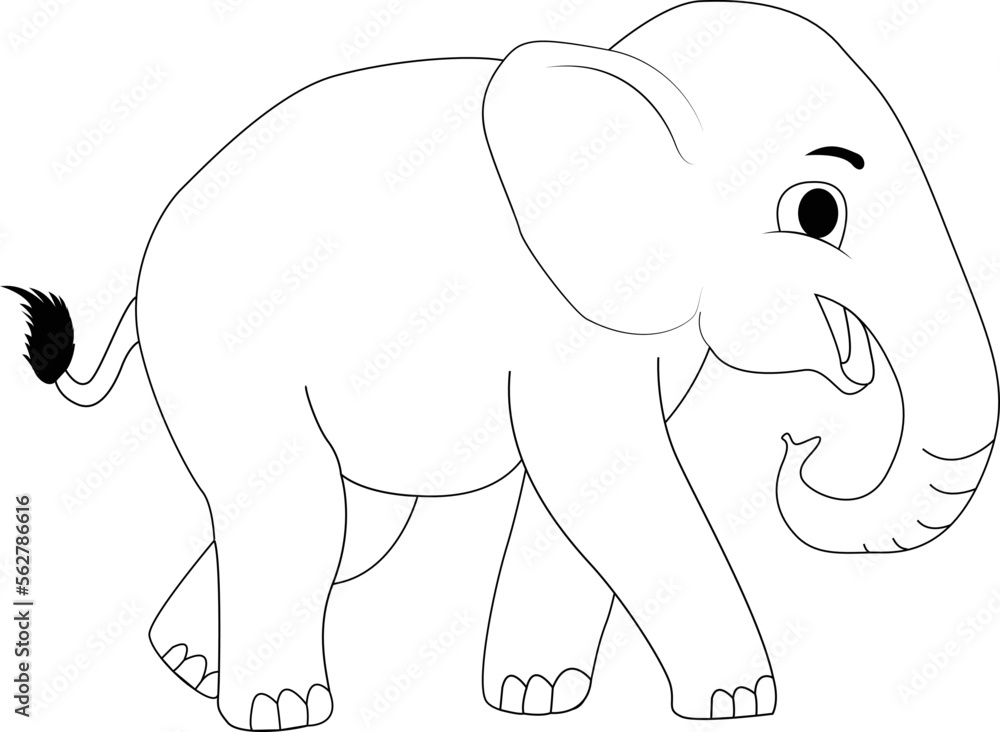Fototapeta premium Elephant White and Black Illustration for kids Coloring Book