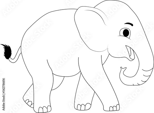 Elephant White and Black Illustration for kids Coloring Book
