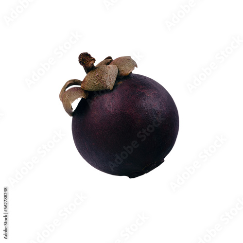 isolated mangosteen on transparent background, the tropical purple fruit photo