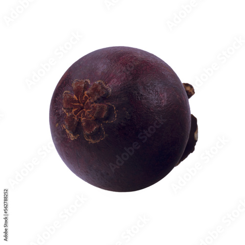 isolated mangosteen on transparent background, the tropical purple fruit photo
