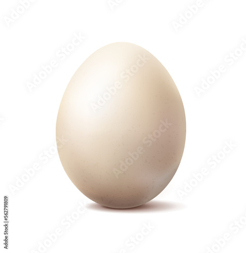 3d realistic vector icon illustration. White whole organic chicken egg. Isolated on white background.