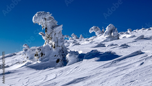 Krkonose National Park in winter and snowy conditions photo