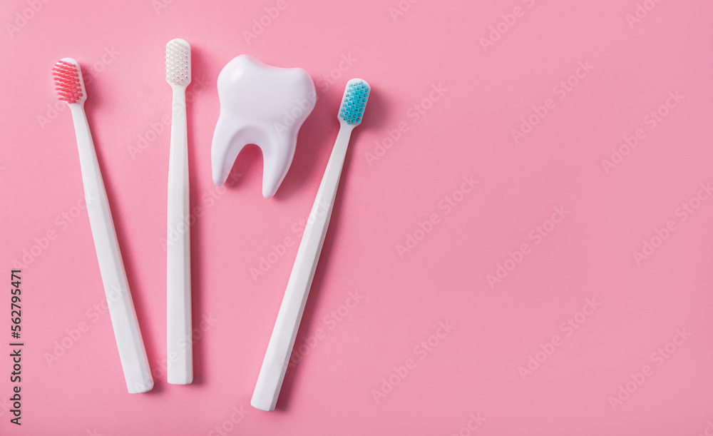 Three toothbrushes next to a big tooth on a pink background. Oral hygiene. Flat lay, top view, banner. Copy space. Three toothbrushes next to a big tooth on a pink background. Oral hygiene. Flat lay, top view, banner. Copy space.