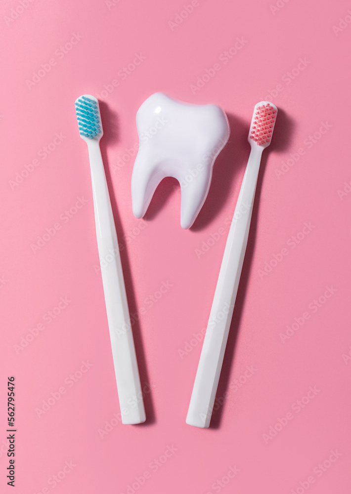 Two plastic toothbrushes next to a big tooth on a pink background. Oral hygiene. Flat lay, top view. Two plastic toothbrushes next to a big tooth on a pink background. Oral hygiene. Flat lay, top view.