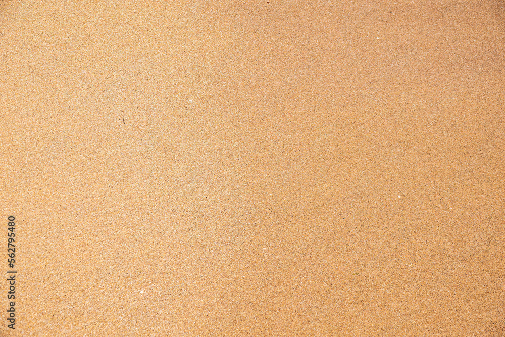 Close up beach sand texture. Sand nature pattern. Beach sand texture in summer sun. Close up beach sand texture. Sand nature pattern. Beach sand texture in summer sun.