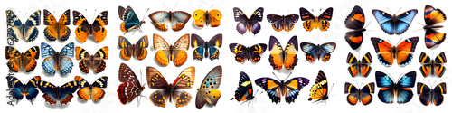 Various colorful butterflies on a white background. © STOCK PHOTO 4 U