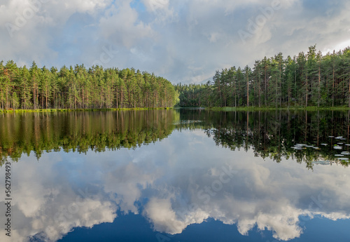 a beautiful lake and a bridge in the forest