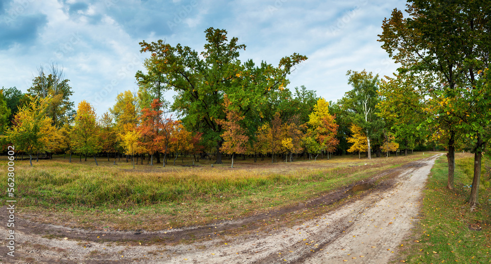 Walk along a country path in the forest with colorful autumn foliage on a windless day in early autumn. A long forest path through the trees. Ukraine. Walk along a country path in the forest with colorful autumn foliage on a windless day in early autumn. A long forest path through the trees. Ukraine.