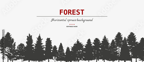 Vector silhouette of Treeline Spruce And Pines.Horizontal spruce background.Spruce treeline	