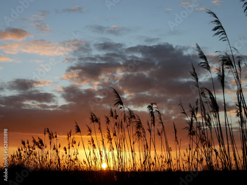 Konstfotografi coucher de soleil dans les  marais