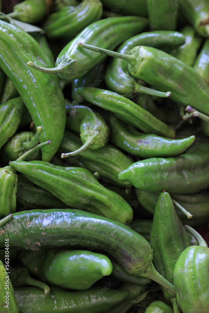 pimientos verdes venta mercado país vasco 4M0A7997-as23 pimientos verdes venta mercado país vasco 4M0A7997-as23