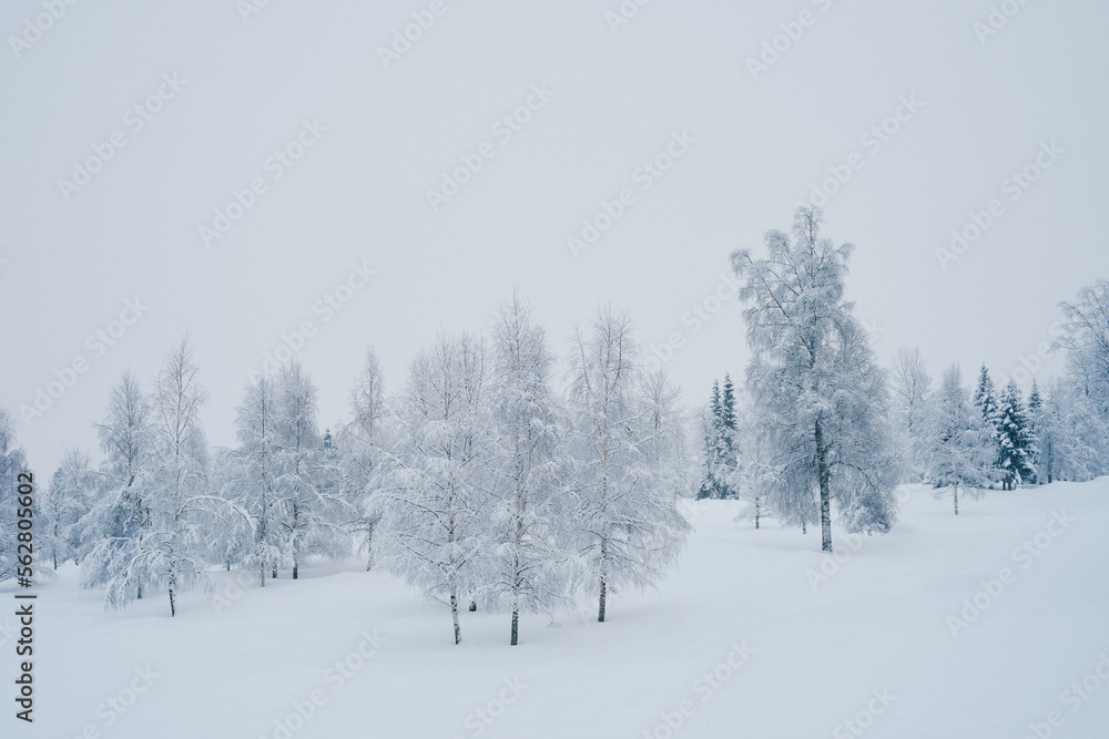 Winter of rural Toten, Norway, after a snowfall.