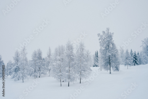 Winter of rural Toten, Norway, after a snowfall.