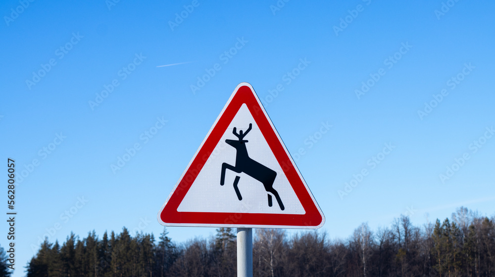 Warning road sign deer on the background of the sky and spruce tops of trees in spring, carefully on the road a deer may jump out. Warning road sign deer on the background of the sky and spruce tops of trees in spring, carefully on the road a deer may jump out.