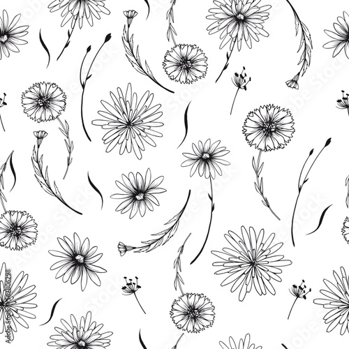 Seamless pattern with decorative flowers and herbs. Black and white hand drawn vector illustration.