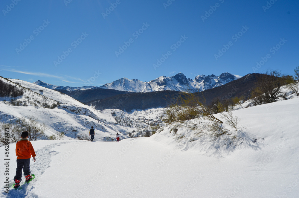 Personas caminando con raquetas por un paisaje nevado y con cielo azul