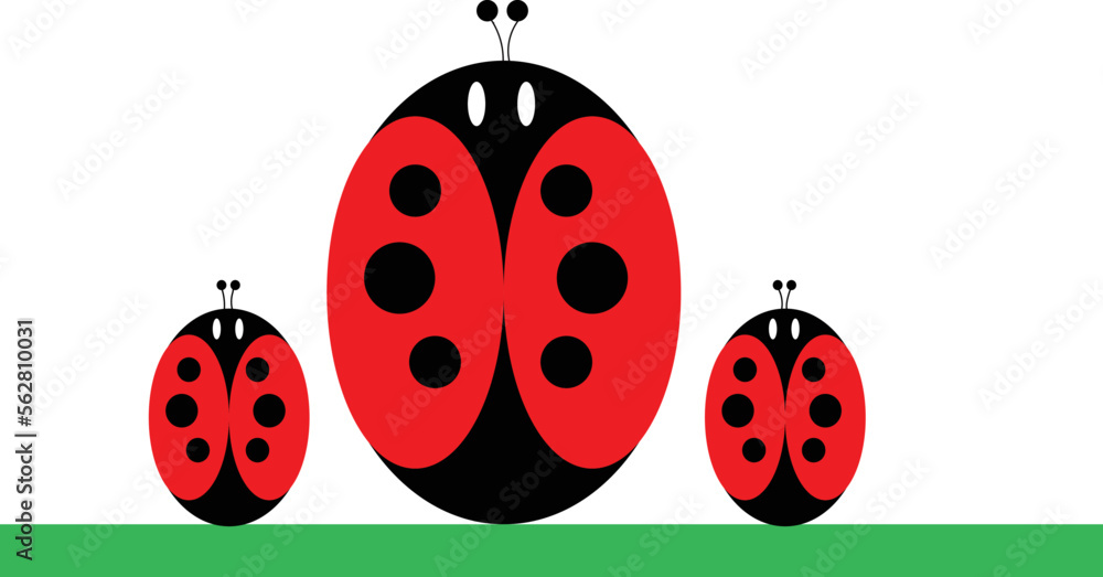 Obraz premium Lady bugs vector on a white background and green grass