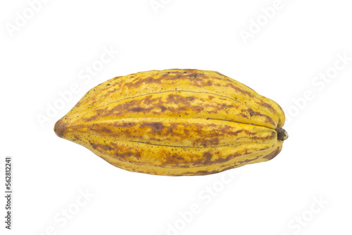 Wallpaper Mural Cocoa pods, Cocoa beans, Chocolate Torontodigital.ca