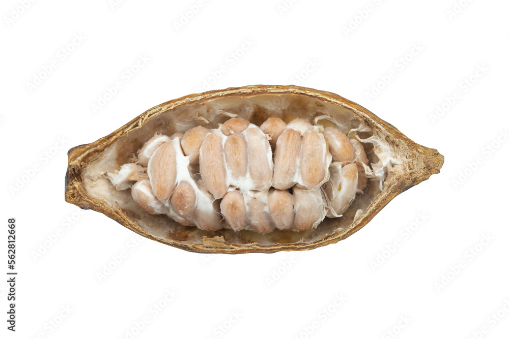 Cocoa pods, Cocoa beans, Chocolate