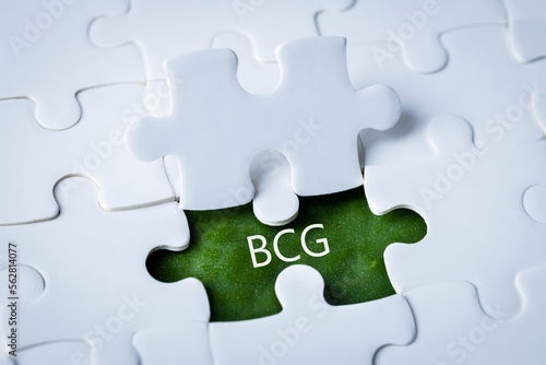 BCG concept for sustainable economic development. The inscription on a green leaf integrated into white puzzles, Bioeconomy, circular economy, green economy. BCG's new economic model photo