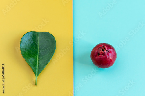 Leaf and Fruit Cattley guava, red fruit Psidium cattleyanum on green and yellow background photo