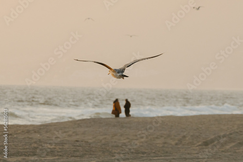 Photography moody couple on the beach