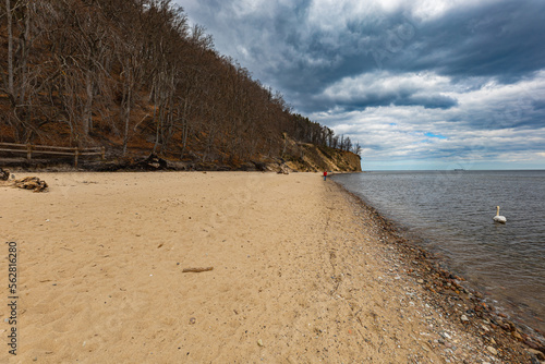 Coast of Baltic sea at the small beach next to high cliffs photo