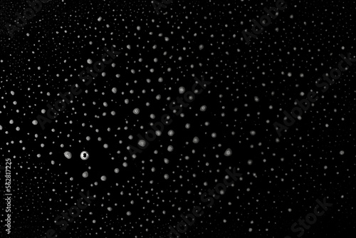 Soap foam, lather isolated on black, with clipping path, texture and background, top view